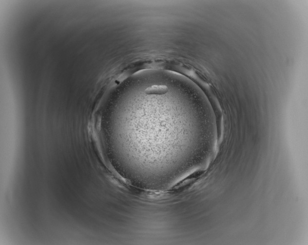 X0000111870720200907301116