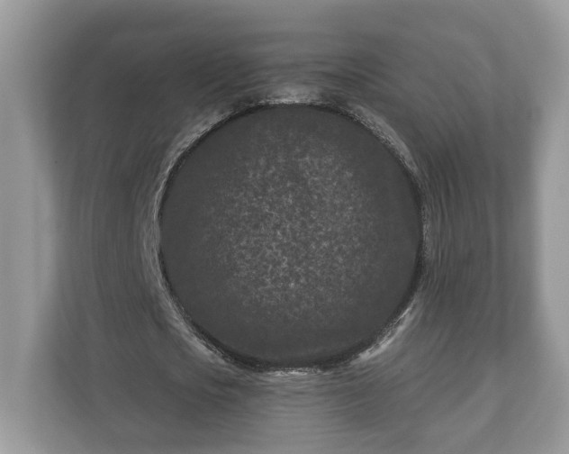 X0000111870721200907301115