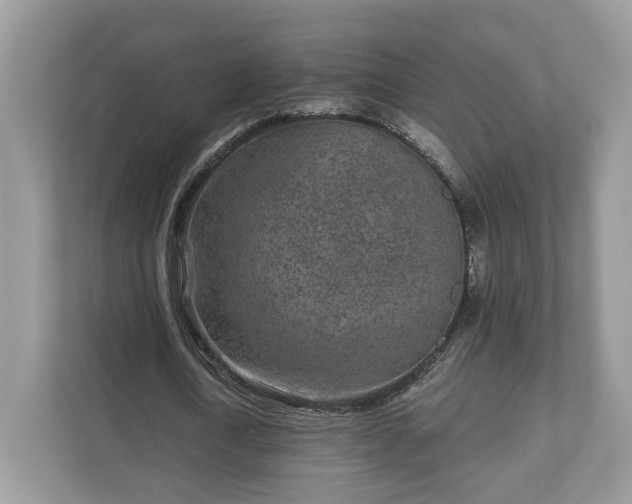 X0000111870722200907301116