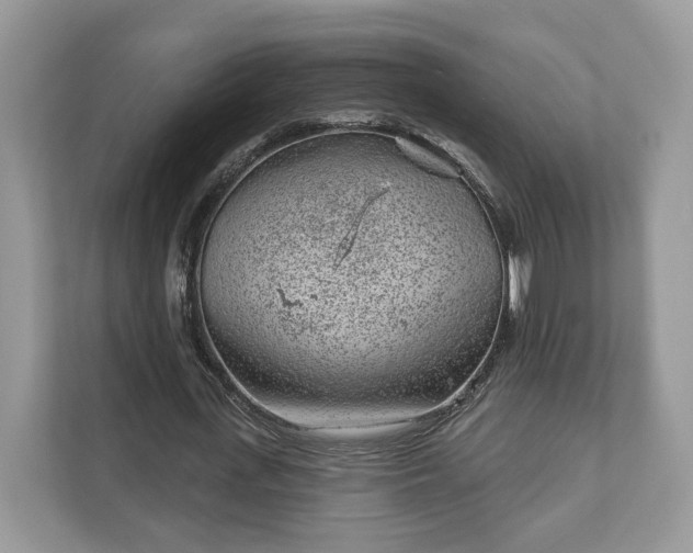 X0000111870723200907301116