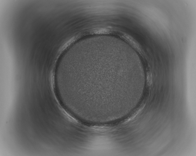 X0000111870725200907301116