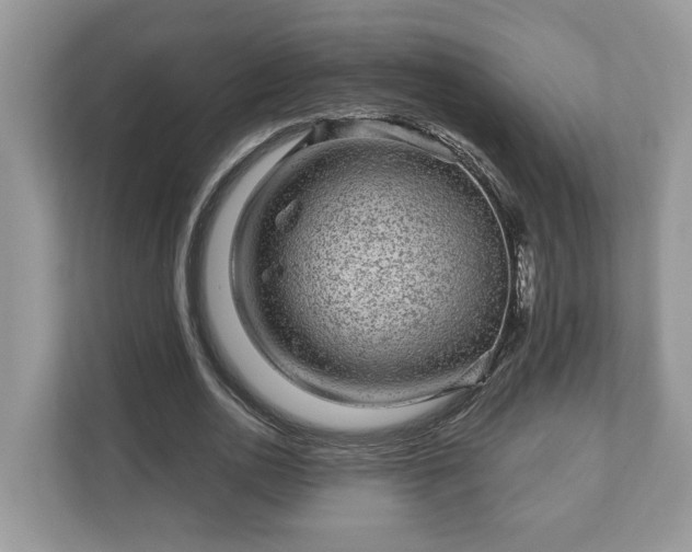 X0000111870726200907301116