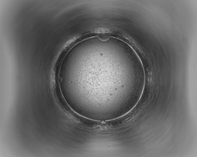 X0000111870727200907301116