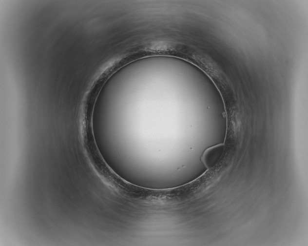 X0000111870728200907301116