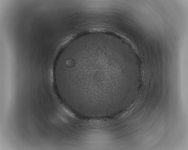 X0000111870729200907301116