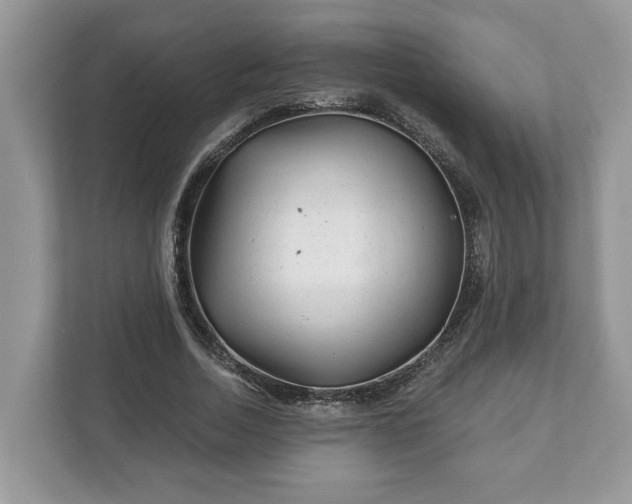 X0000111870730200907301116