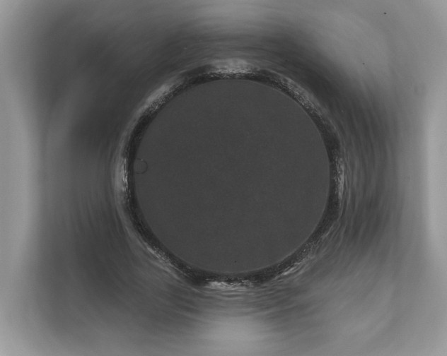 X0000111870731200907301116