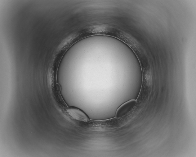 X0000111870732200907301116