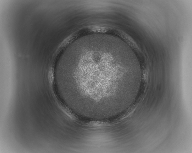 X0000111870733200907301116