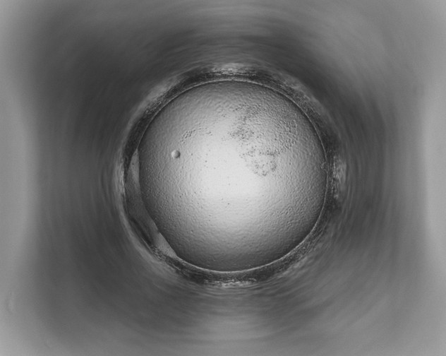 X0000111870734200907301116