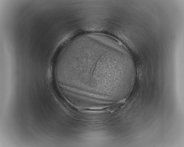 X0000111870735200907301116