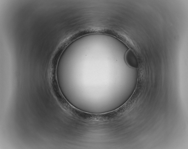 X0000111870736200907301116