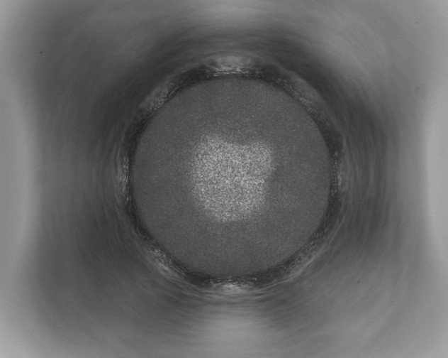 X0000111870737200907301116