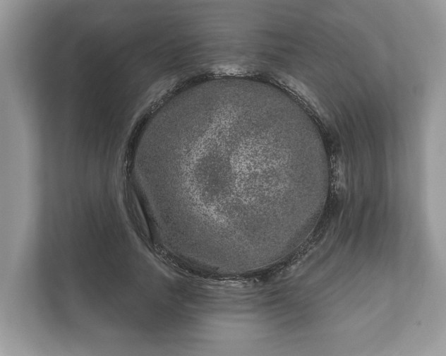 X0000111870738200907301116