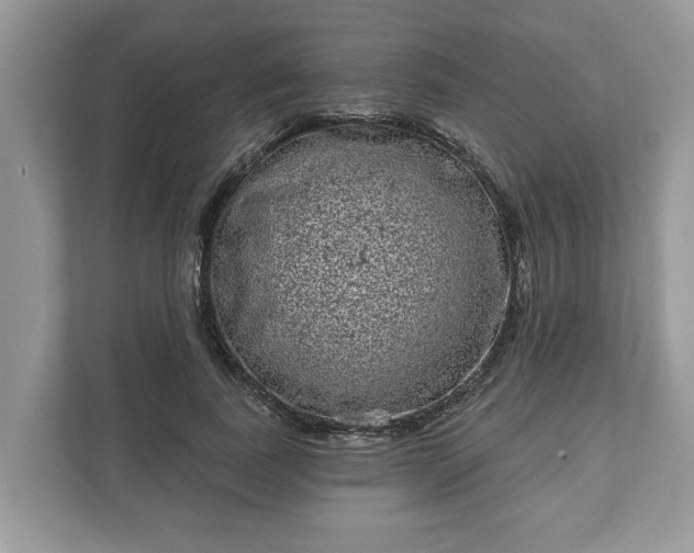 X0000111870739200907301116