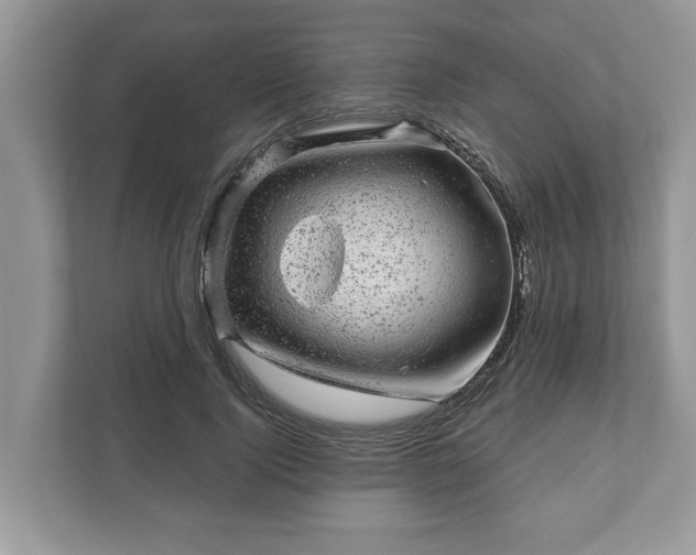 X0000111870740200907301116