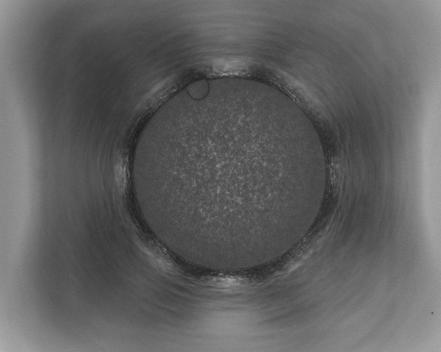 X0000111870741200907301116