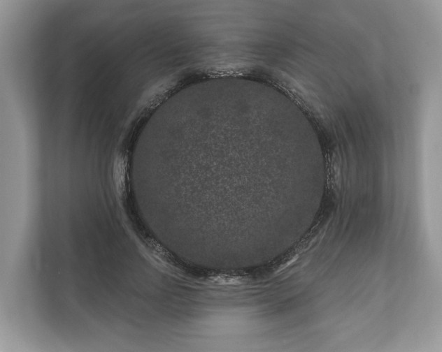 X0000111870742200907301116