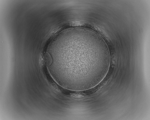 X0000111870743200907301116