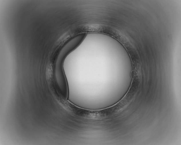 X0000111870744200907301116