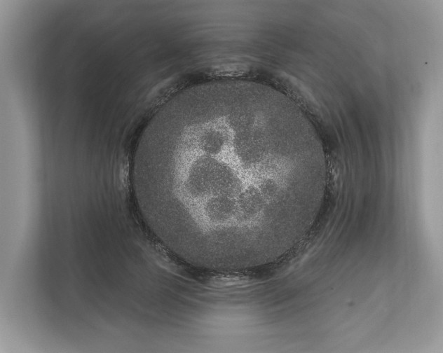 X0000111870745200907301116