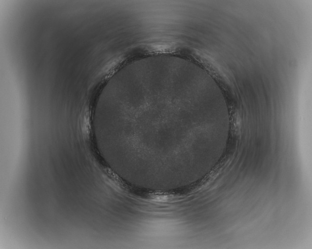 X0000111870746200907301116