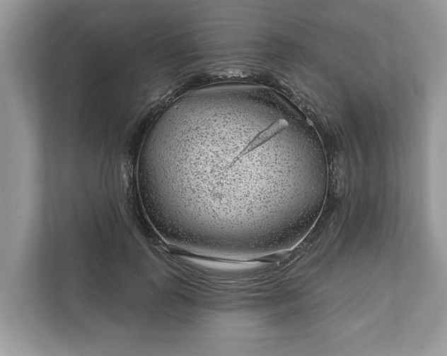 X0000111870747200907301116