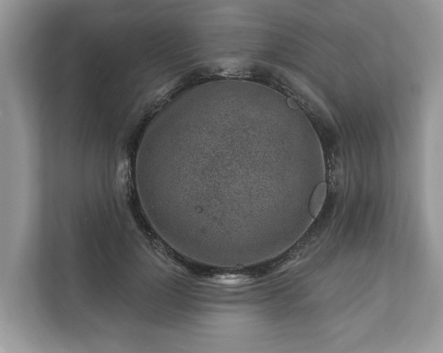 X0000111870748200907301116