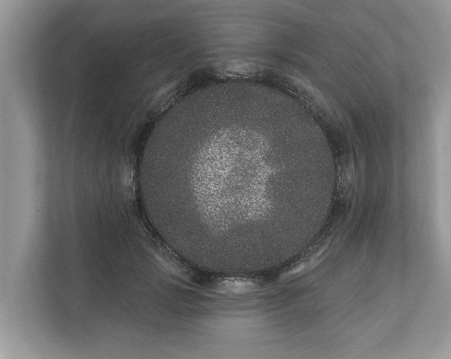 X0000111870749200907301116