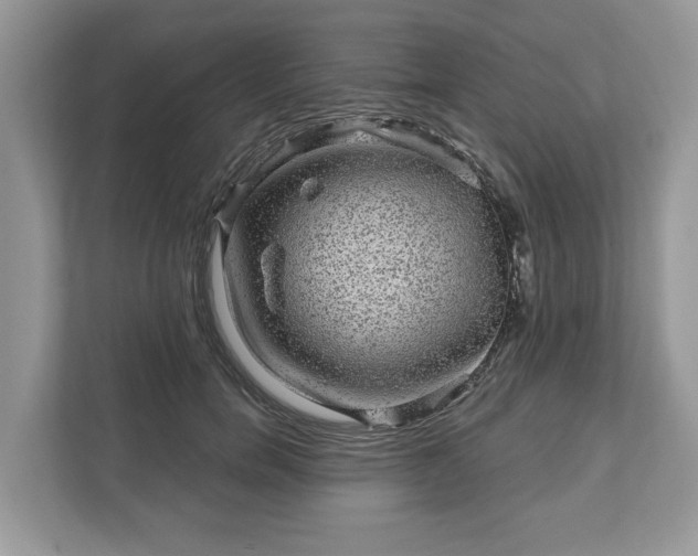 X0000111870750200907301116