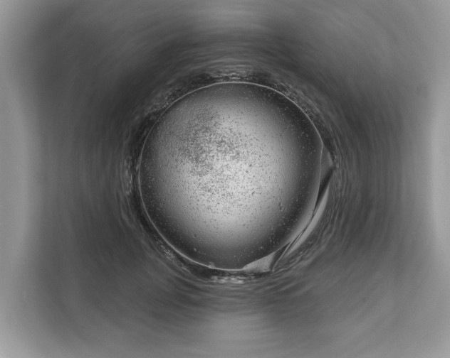 X0000111870751200907301116