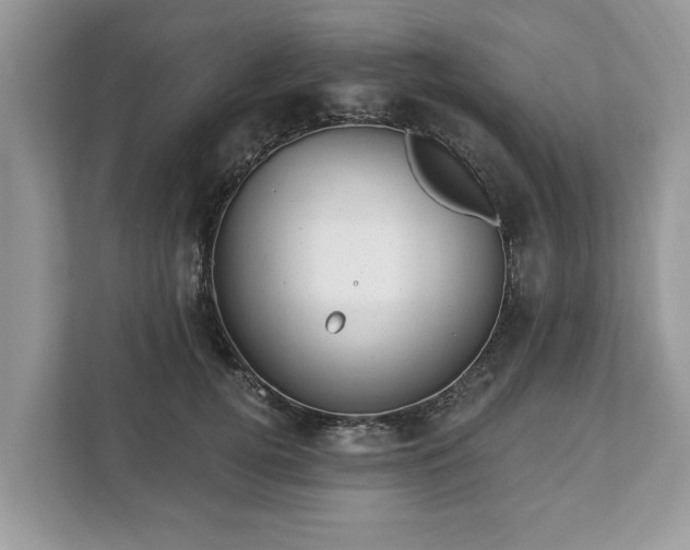 X0000111870752200907301116