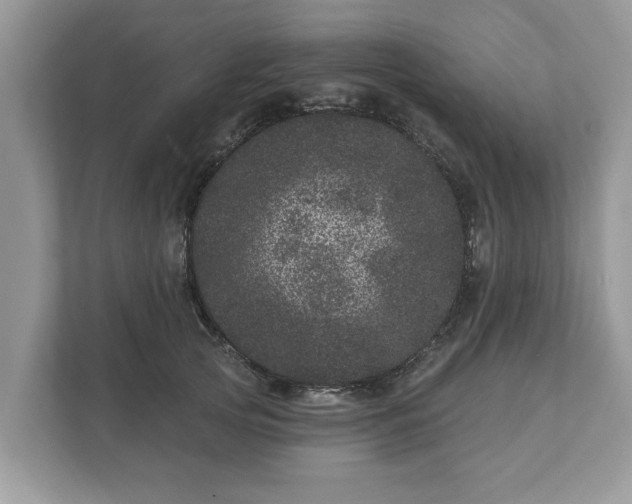 X0000111870753200907301116