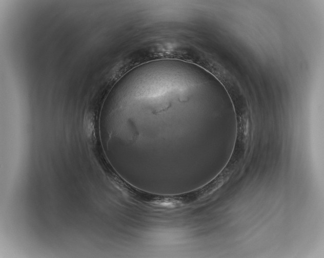 X0000111870754200907301116