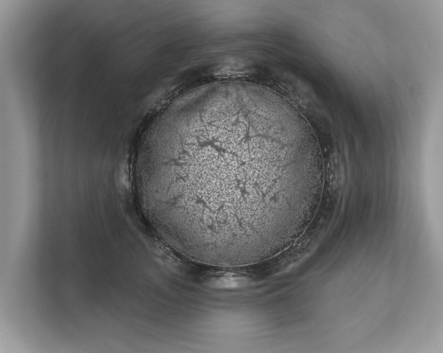 X0000111870755200907301116