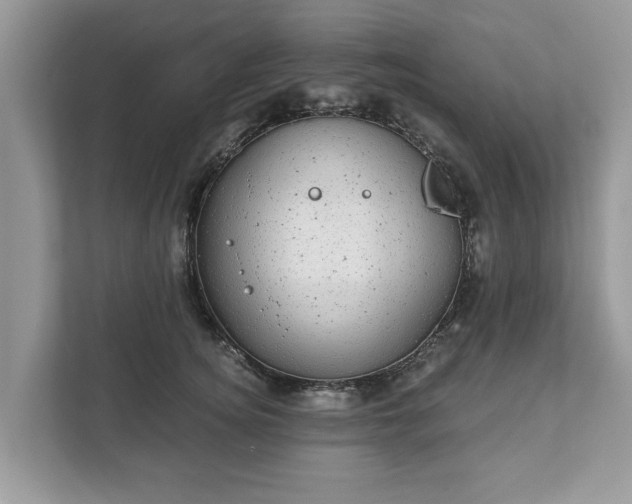 X0000111870756200907301116