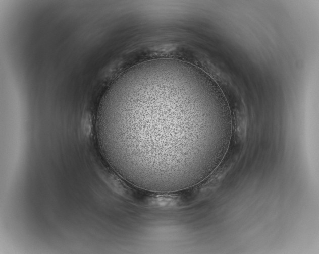 X0000111870758200907301116