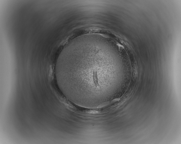 X0000111870759200907301116