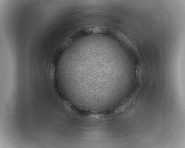 X0000111870760200907301116