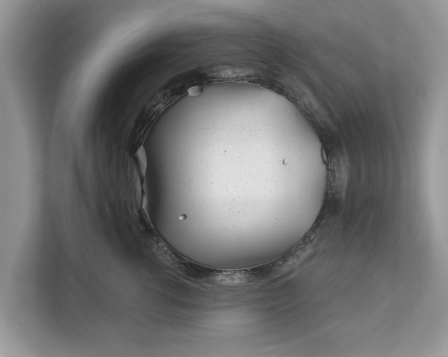 X0000111870762200907301116