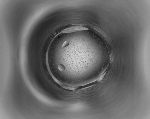 X0000111870764200907301116