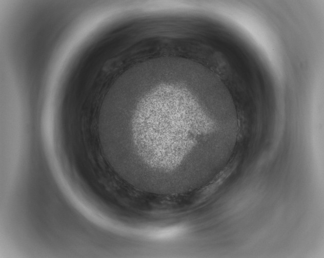 X0000111870765200907301116