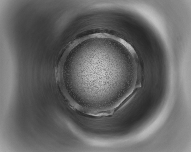 X0000111870766200907301116