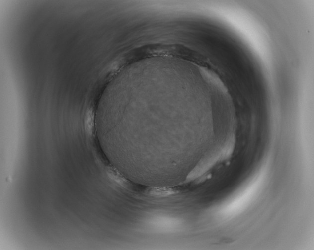 X0000111870767200907301116