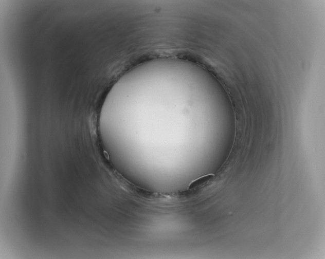 X0000111870768200907301116