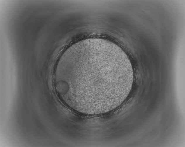 X0000111870769200907301115