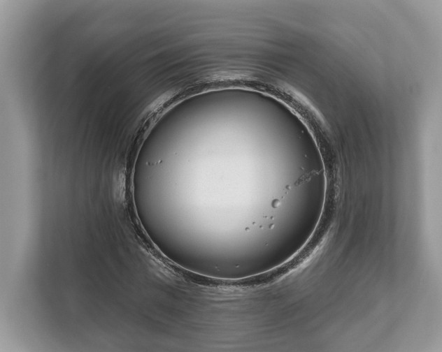 X0000111870777200907301115