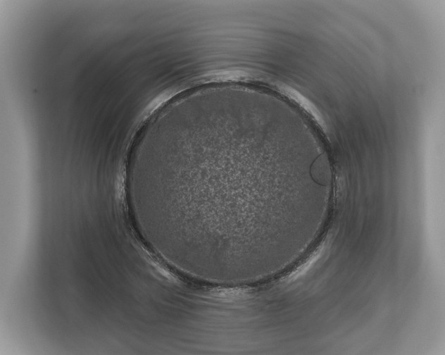 X0000111870778200907301115