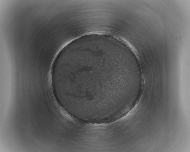 X0000111870779200907301115