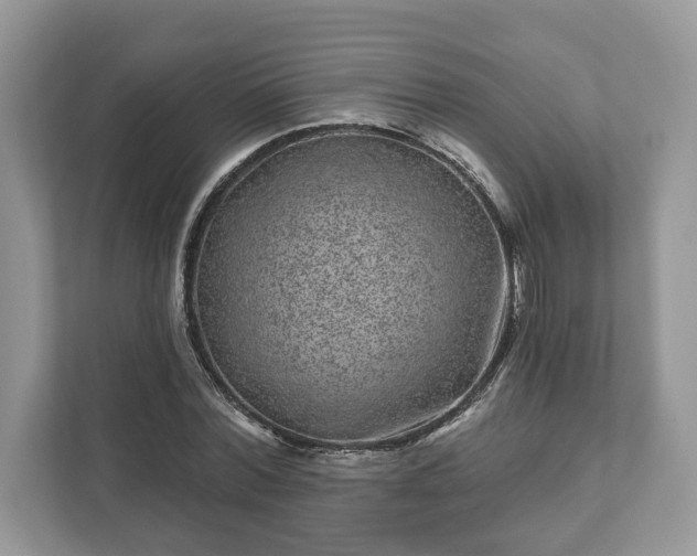 X0000111870780200907301115